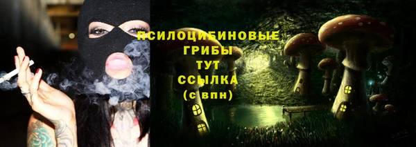 мяу мяу мука Покров